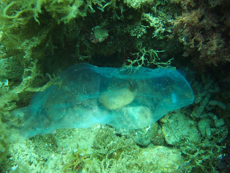 2013-06-13 14-50-40 Steven.JPG